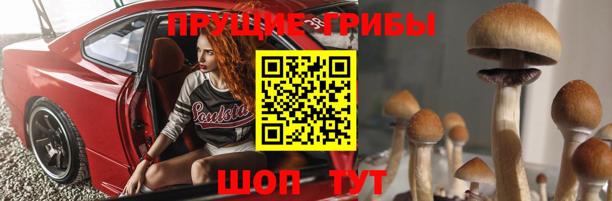 Псилоцибиновые грибы Psilocybine cubensis Троицк